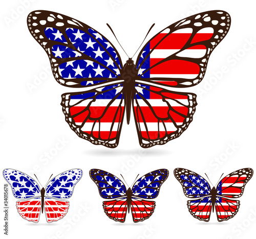 set of america butterfly isolated on white background photo