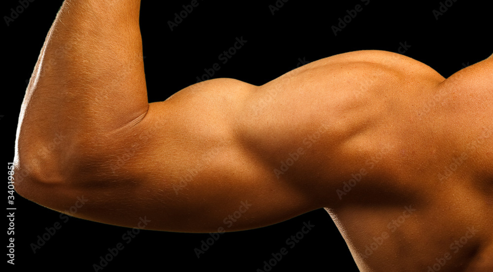 strong biceps strong biceps