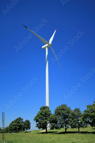 Wind turbine and trees