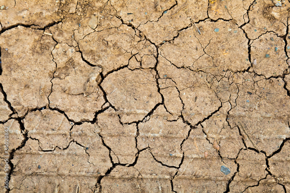 Fototapeta premium Vertrocknete Erde