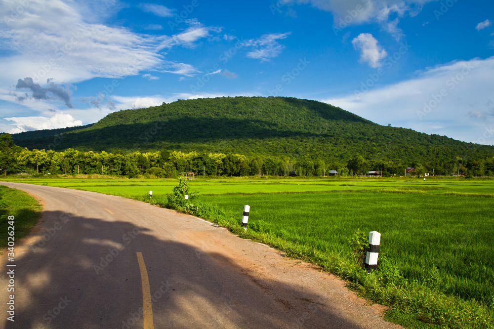 Naklejka premium Country road to the mountain along the paddy