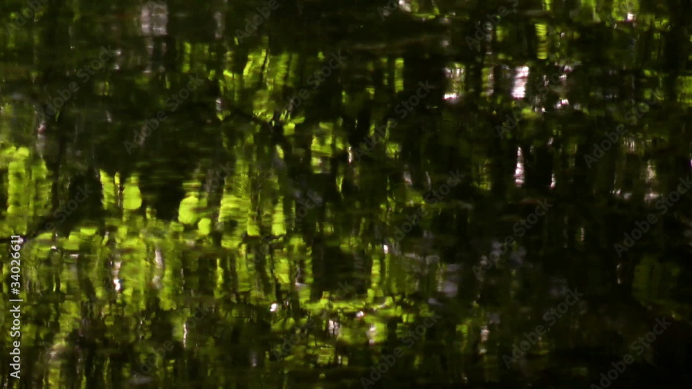 trees reflected in water of a mountain stream trees reflected in water of a mountain stream