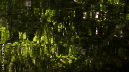 trees reflected in water of a mountain stream