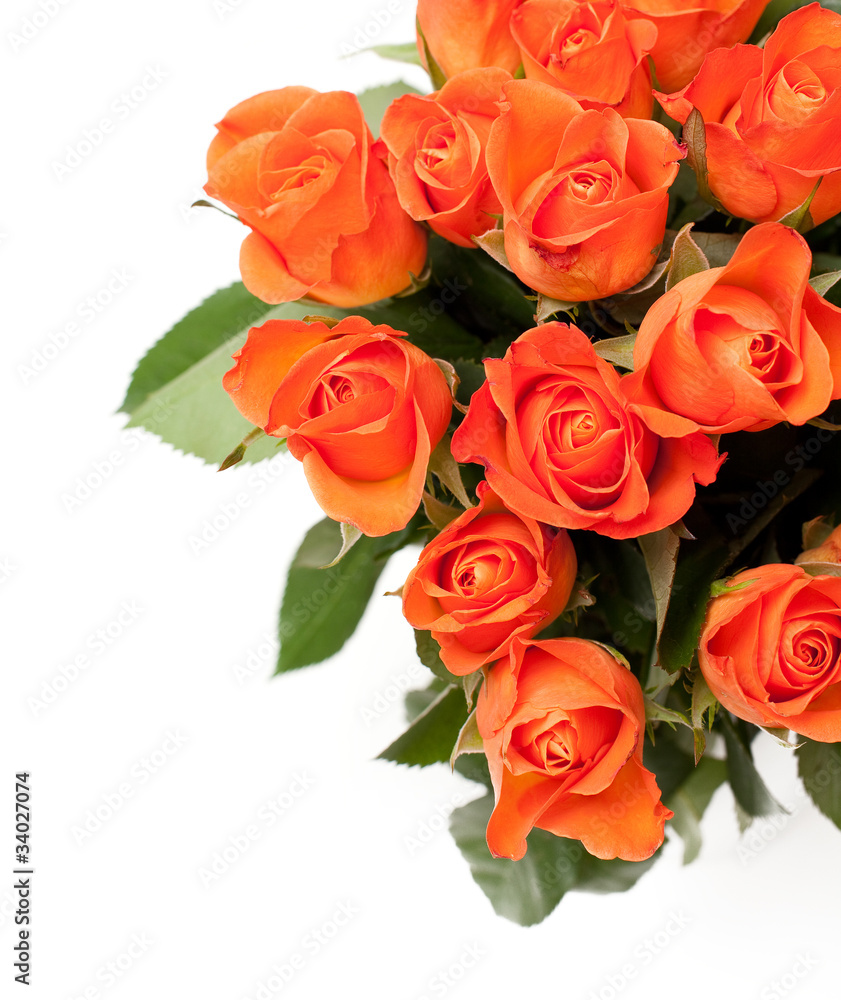 orange roses and empty space for your text orange roses and empty space for your text