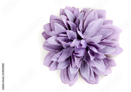 purple flower from tissue