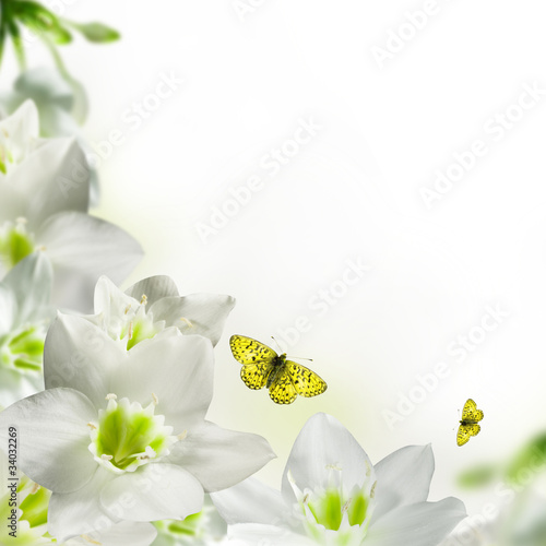 White flowers