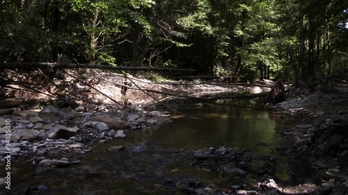 brook in the North Caucasus mountains