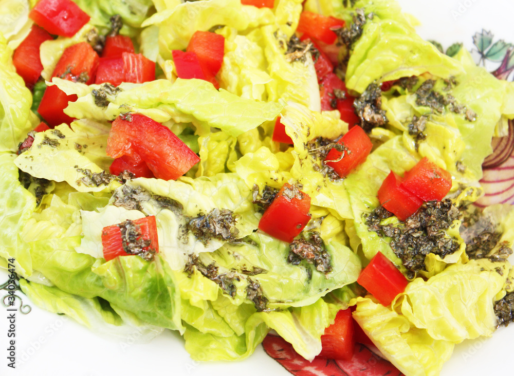 Frischer Salat Frischer Salat