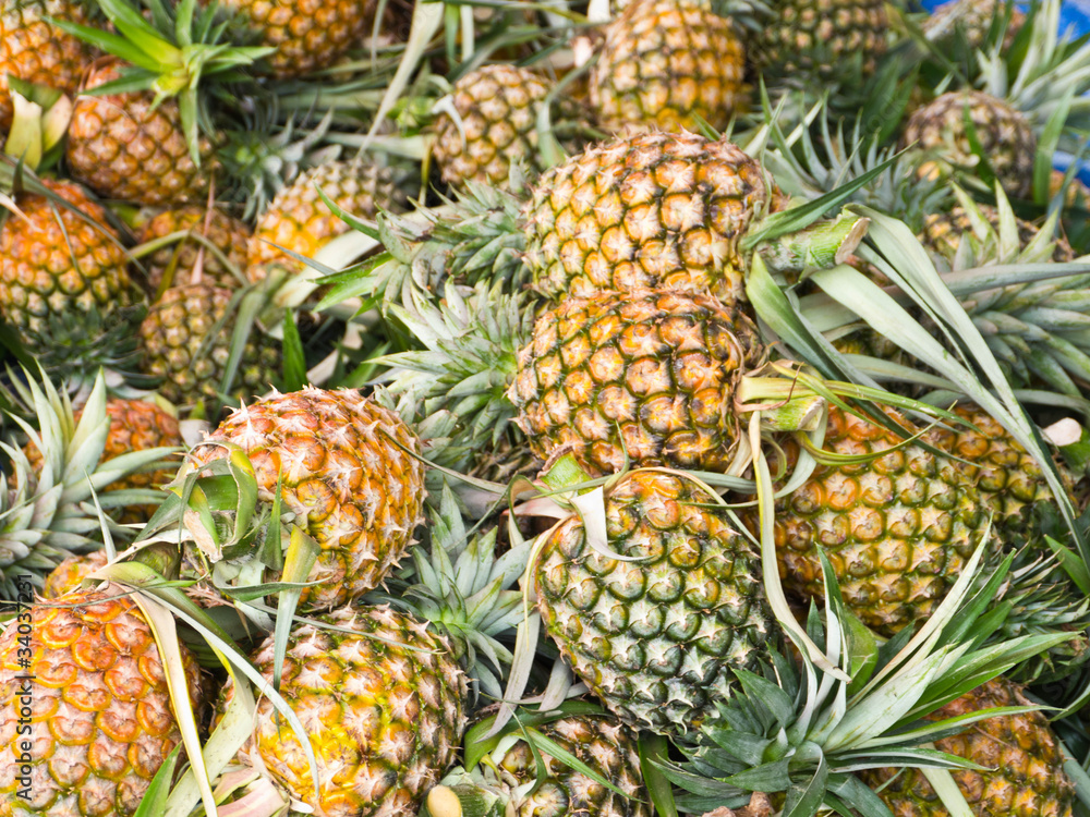 Pineapple Pineapple