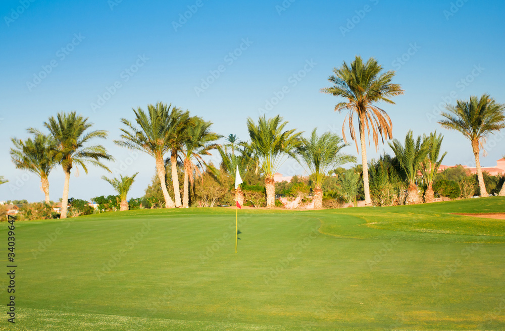 Grass Fields and Palms Grass Fields and Palms