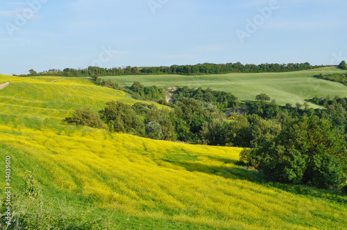 Hill countryside in the Crete Senesi region, Tuscany