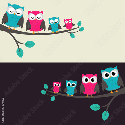Family of owls sitting on a branch. Two variations.