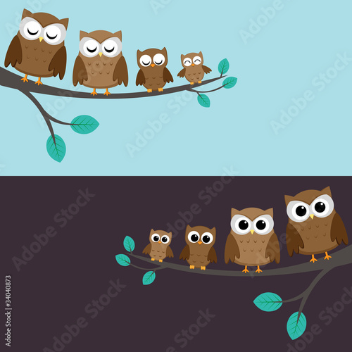 Family of owls sitting on a branch. Two variations.