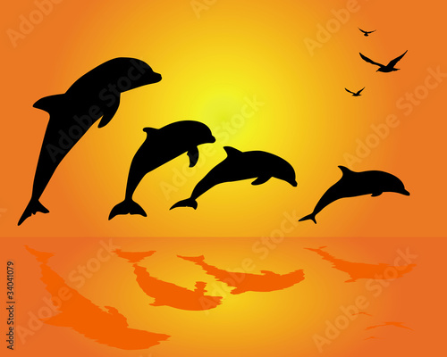 silhouettes of a group of dolphins