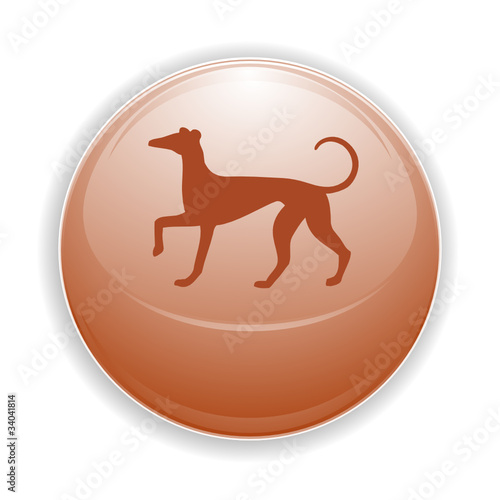 Boule, bouton, sphère, reflet, transparent, picto, logo, icône