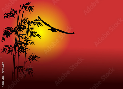 Eagle flying into the sun at sunset