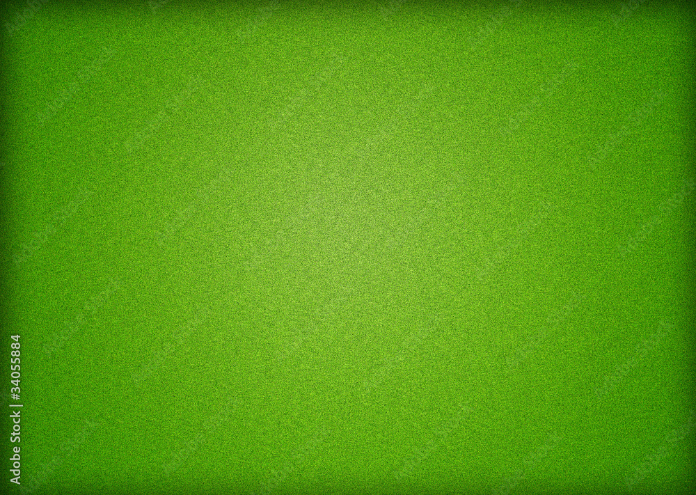 Fototapeta premium green grass field background