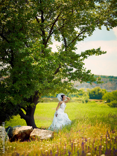 Bride in nature in a wedding dress