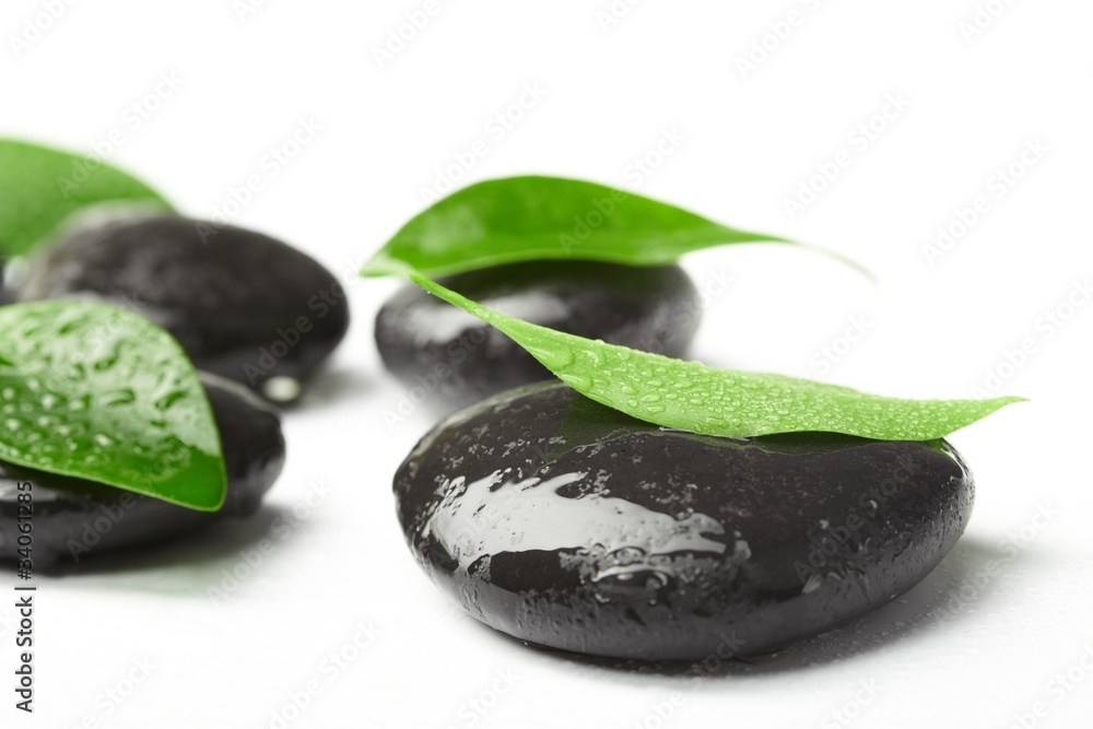 Fototapeta premium black stones and green leaves