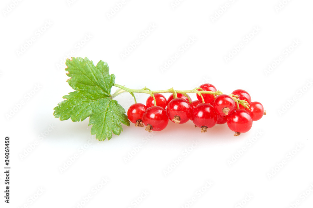 redcurrant redcurrant