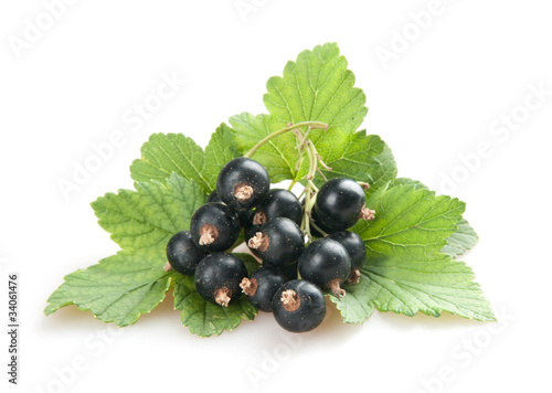 blackcurrant