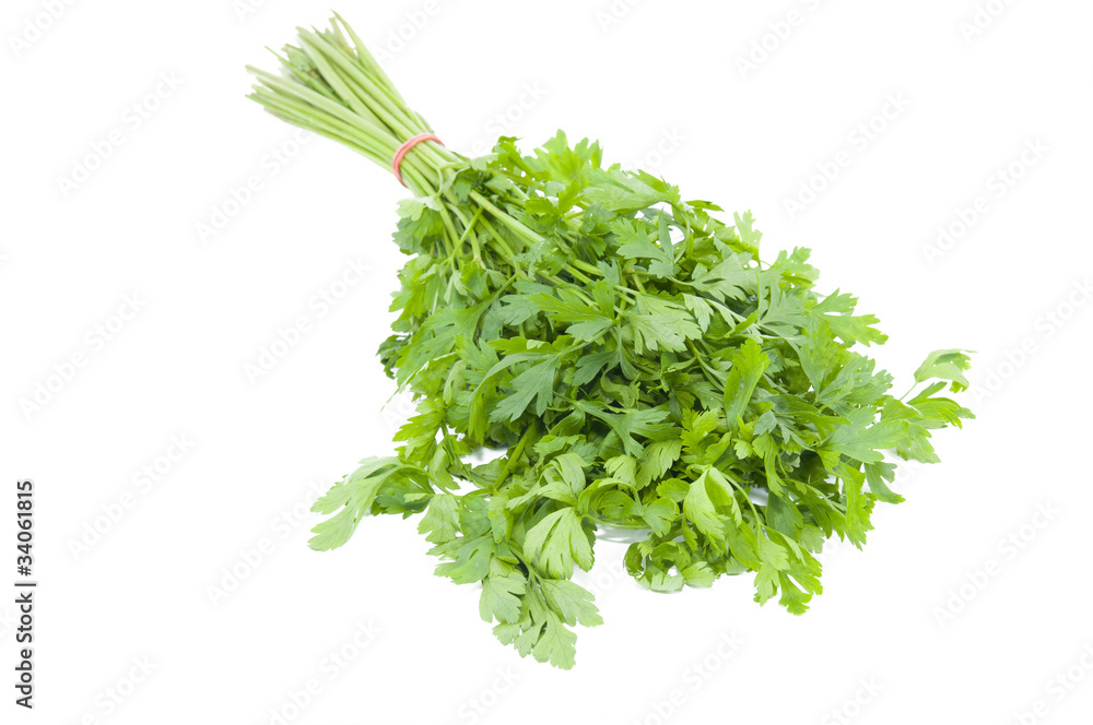 Obraz premium Parsley