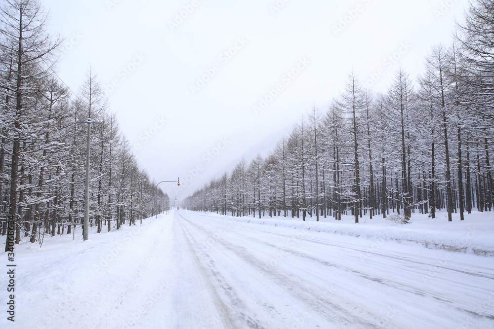 Obraz premium 雪道