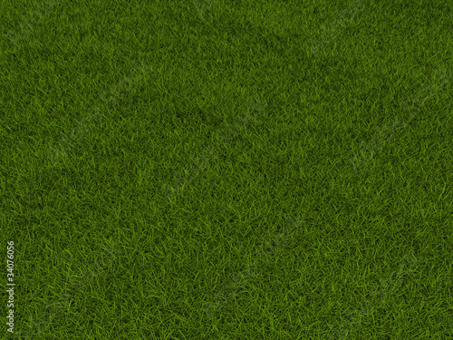 Green grass texture 3d