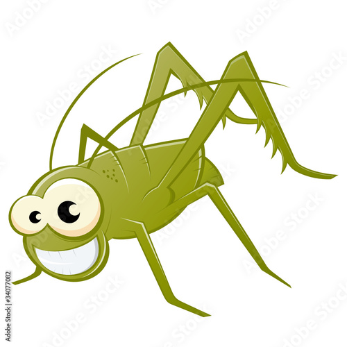 heuschrecke grashüpfer cartoon