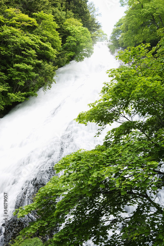 新緑の滝