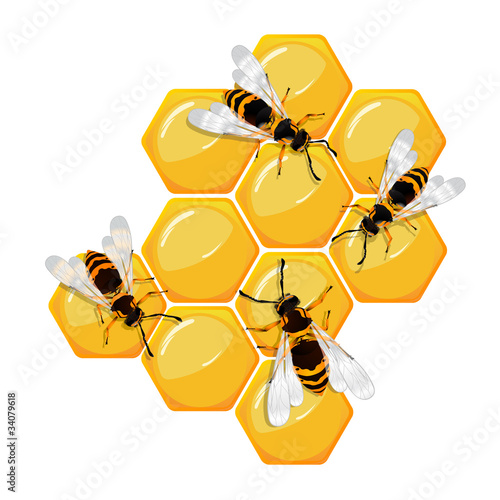 Bees on a honeycomb