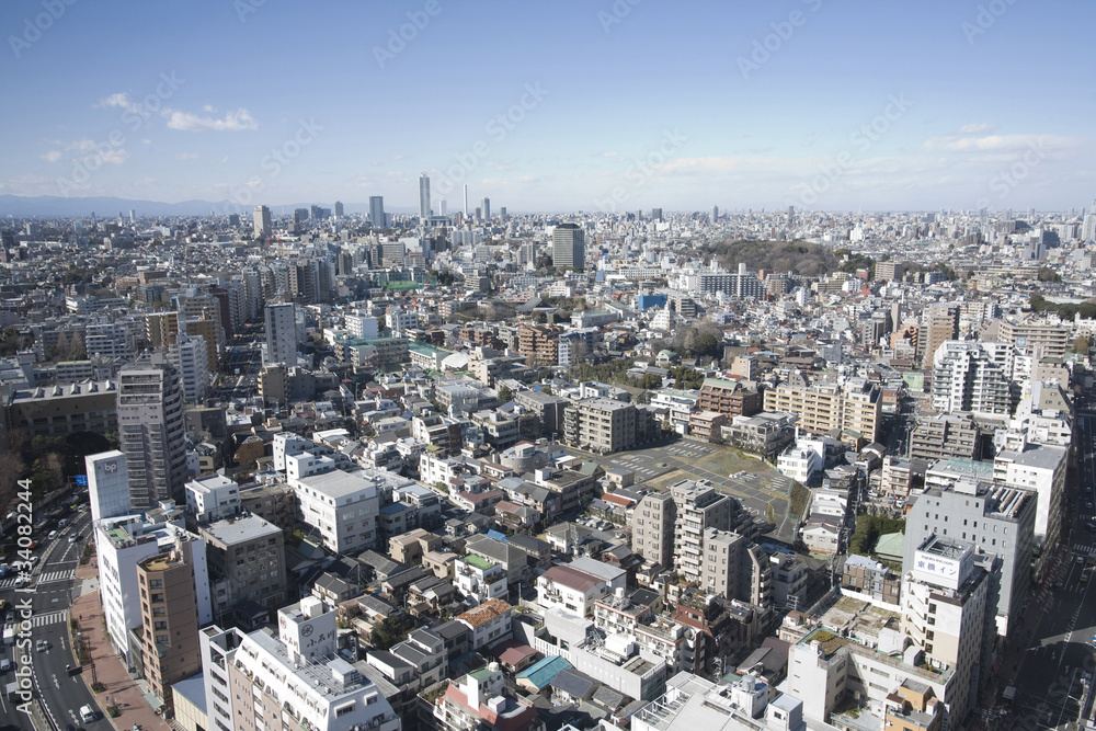 Fototapeta premium 東京の景色