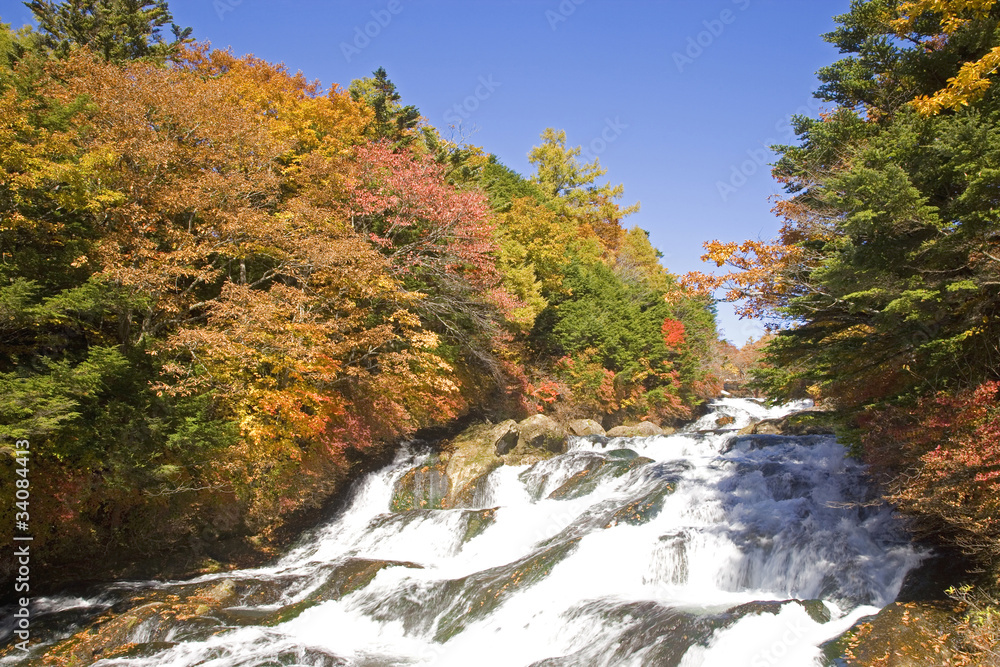 秋の竜頭ノ滝 秋の竜頭ノ滝