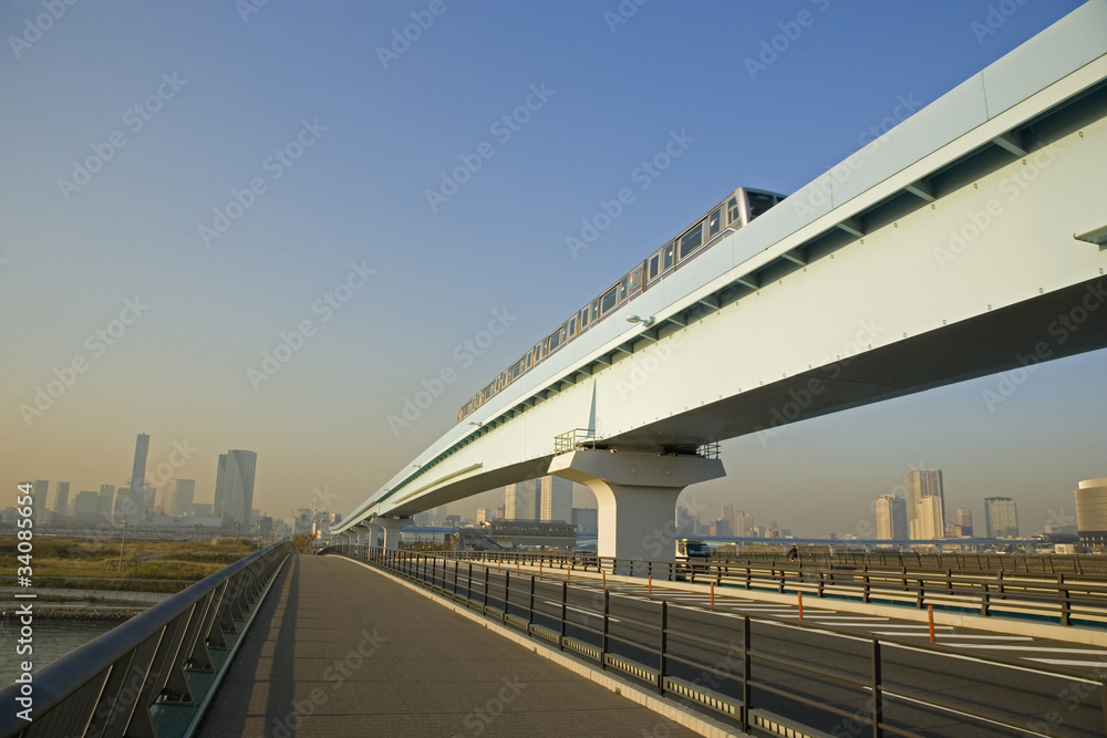 Obraz premium ゆりかもめ