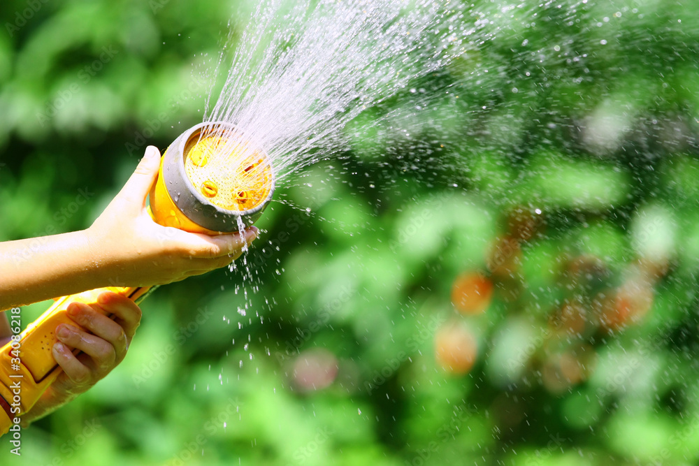 Watering Flowers