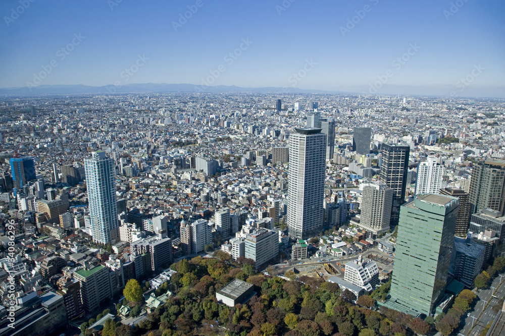 東京の街並み展望