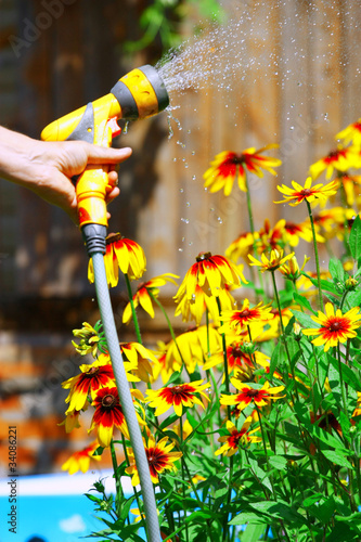 Watering Flowers.