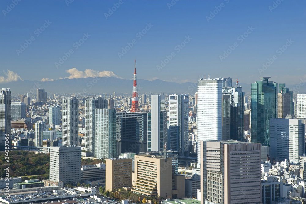 Fototapeta premium 東京市街と富士山展望