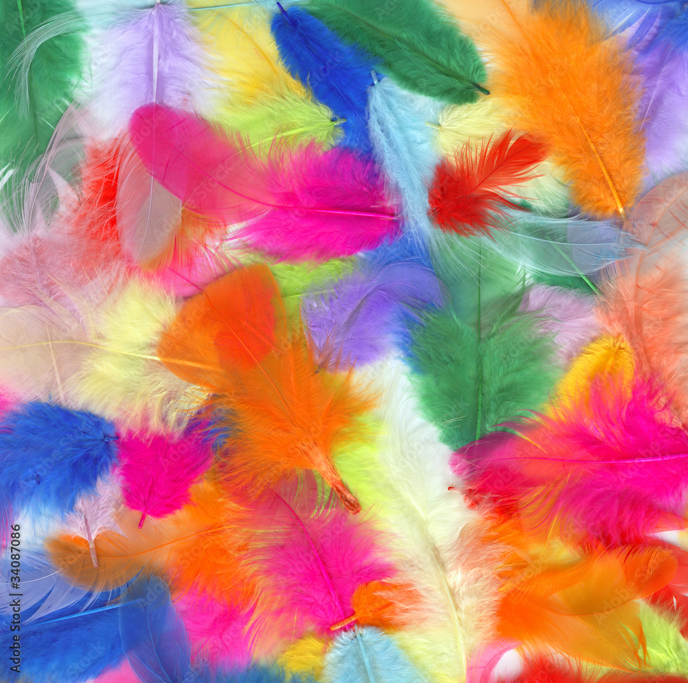 colored feathers colored feathers
