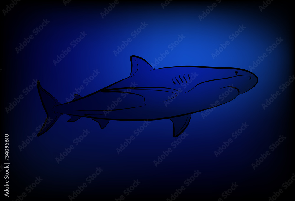 Fototapeta premium Shark at ocean