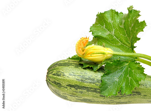 fresh zucchini fruits with green leaves and flower isolated on w