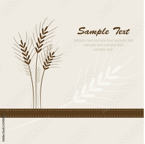 Àbstract wheat background, vector