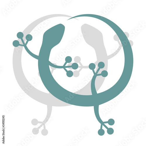 Diseño lagarto