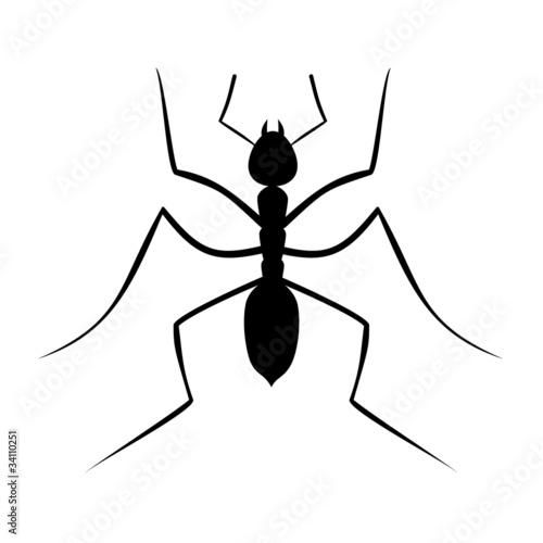Ilustración hormiga