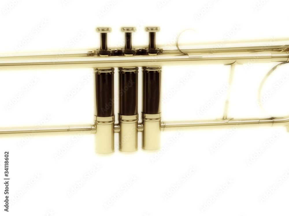 Obraz premium tasti tromba