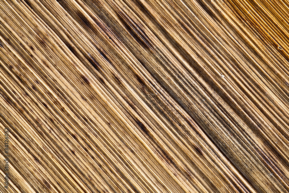 Wood texture Wood texture
