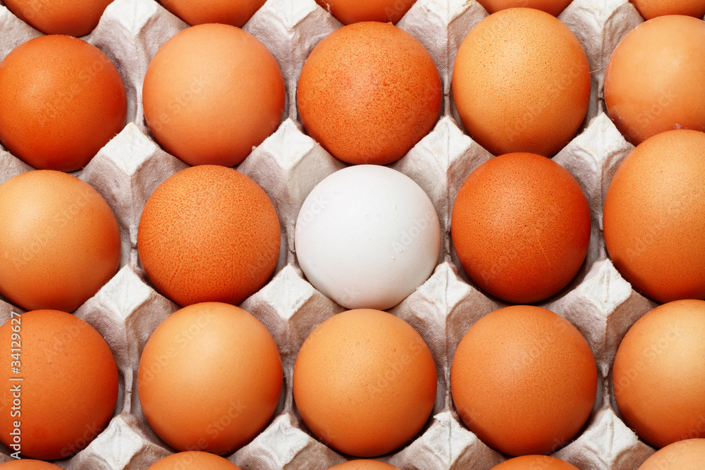 White egg White egg