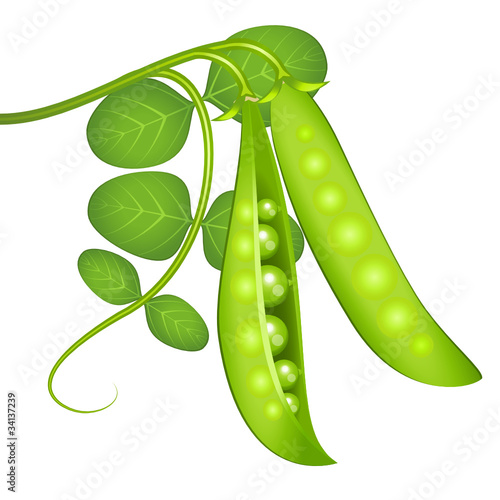 Petits pois