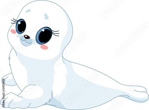Baby  seal