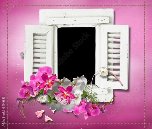 cadre fenêtre rose et orchidées